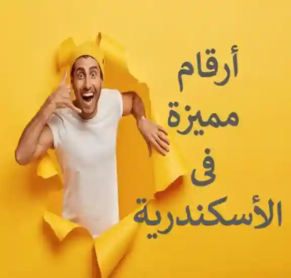 ارقام مميزة فى الأسكندرية
