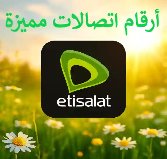ارقام مميزة المصرية للاتصالات