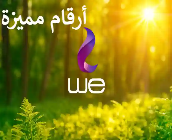 خطوط مميزة وى